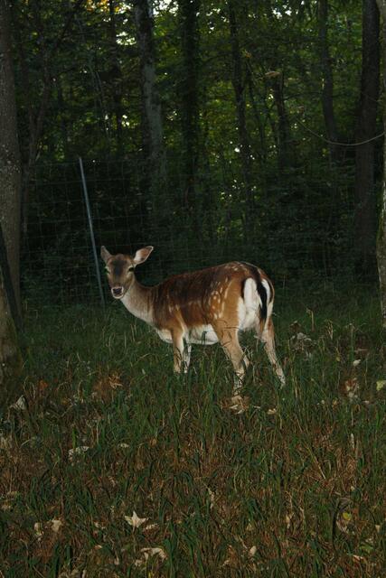 ...ich bin auch noch da!