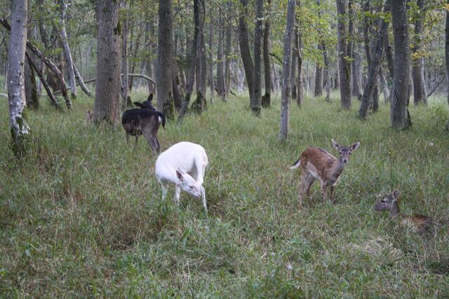 Wer von uns gefällt Dir besser?