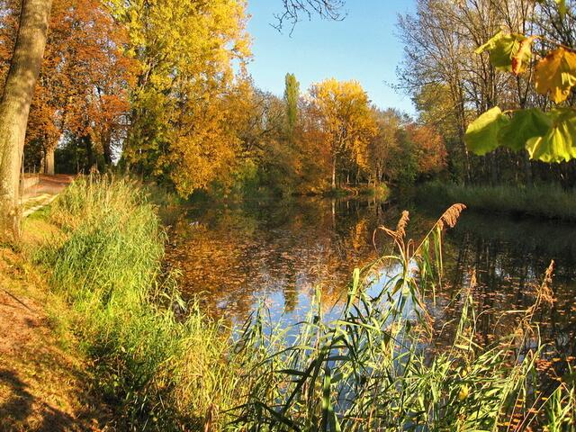 Herbsttag am Fischerheim, Dillingen