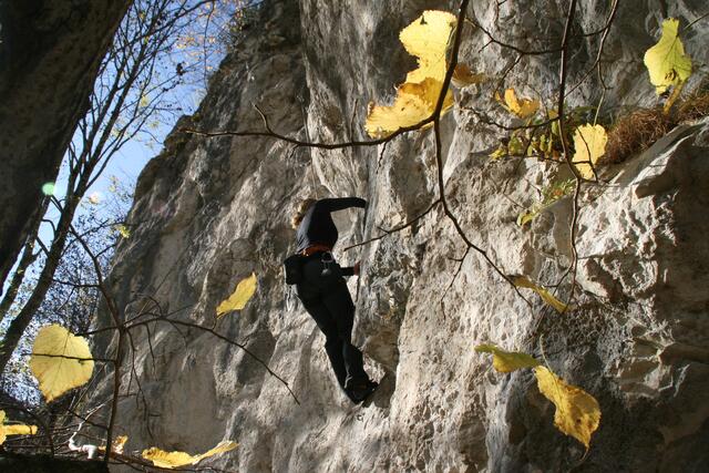Klettern im Herbst in Kochel - noch T-Shirt warmes Wetter im November vorletztes Jahr!