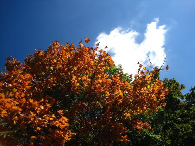 Weiß - blau - bunt
