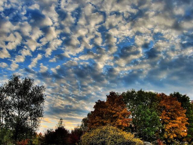 Herbstabend an der Kiesgrube