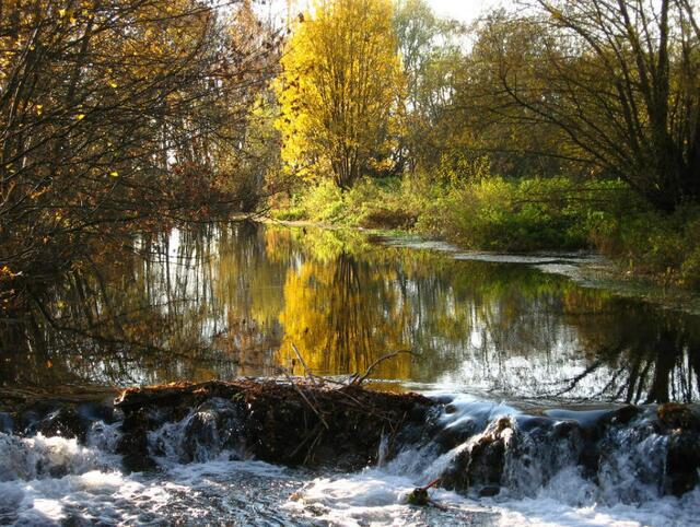 Herbst an der Egau