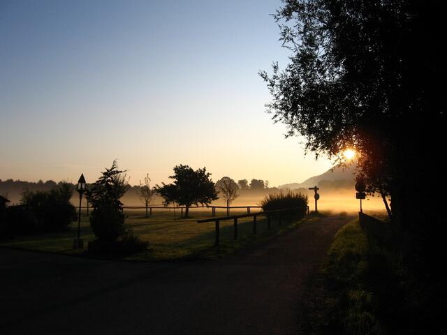 Frühnebel in Grassau, Chiemgau