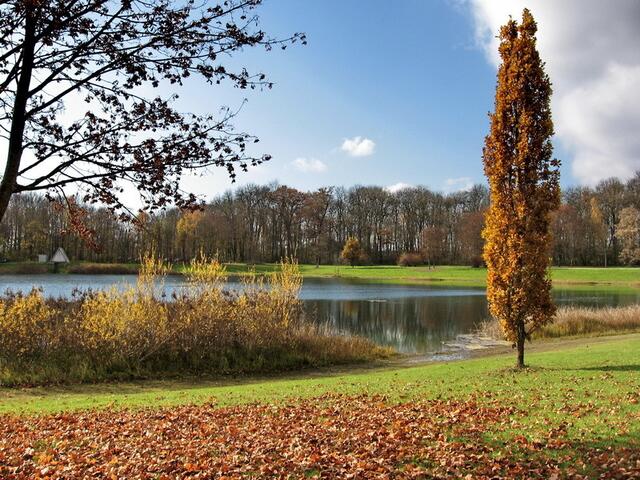 Herbst am Auwaldsee, Lauingen