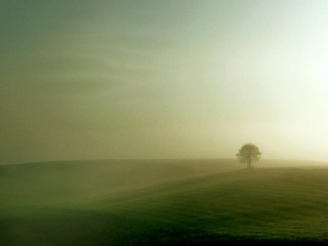 Der Herbstnebel der langsam an der Schmutter dahin schleicht auch bis hinauf zu den Anhöhen im Augsburger-Land. Wenn da nicht die Sonne wäre die versucht den Nebel zu durchdringen.
