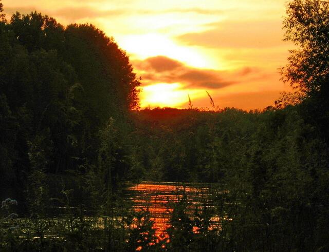 Lauingen, Donau