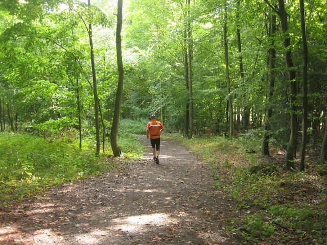 Reiner Beck, Post SV Lehrte, 21 km, noch 1 km zum Ziel