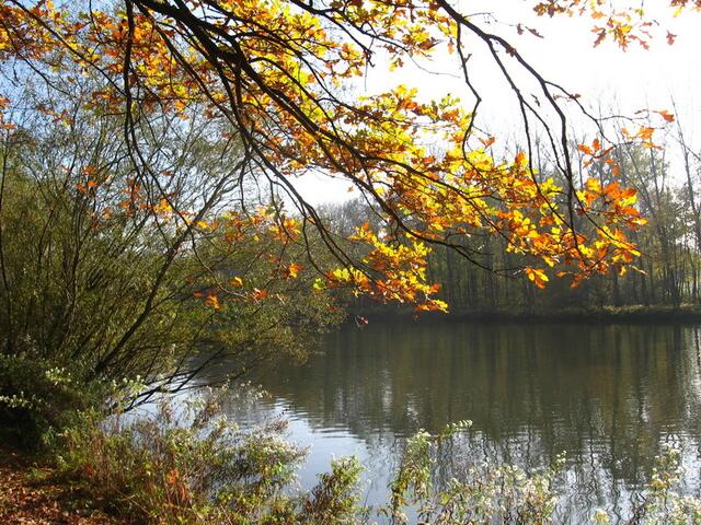 Spaziergang an der Donau bei Lauingen