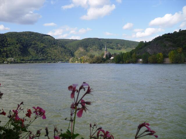 in Boppard,Blick über den Rhein