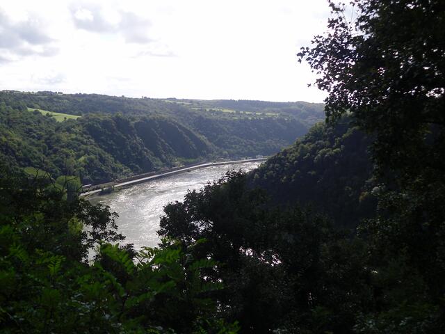 Blick v.d. Loreley
