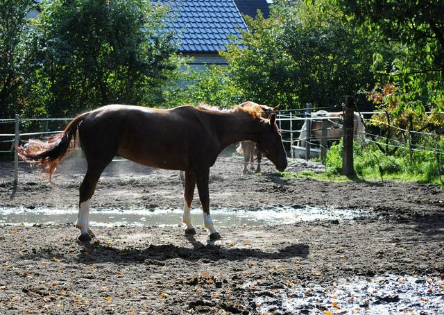 Bild Nr. 7
