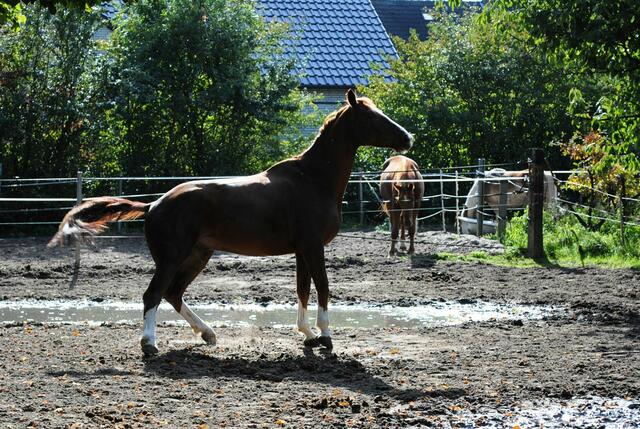Bild Nr. 6
