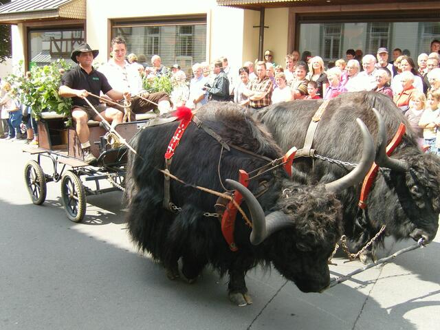 Ein äußerst auffälliges Gespann