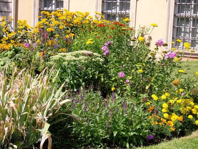 Blumenbeet