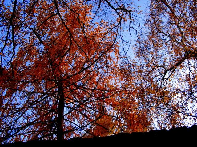 Der bunte Herbst