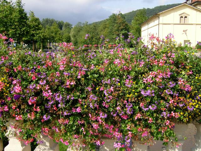 Blumen und mehr