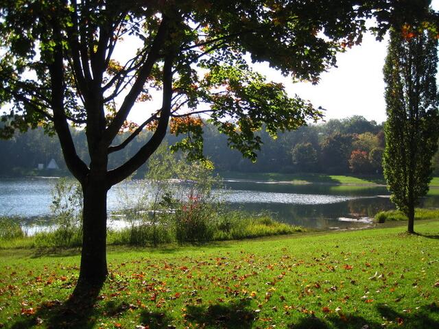 Am Auwaldsee