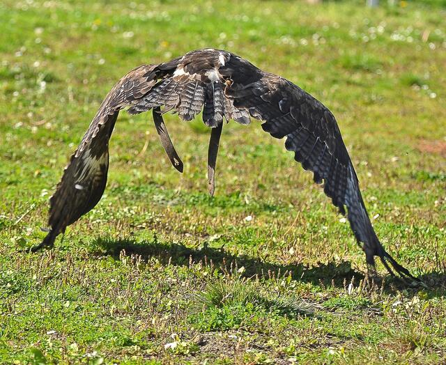 Noch hat er Bodenkontakt