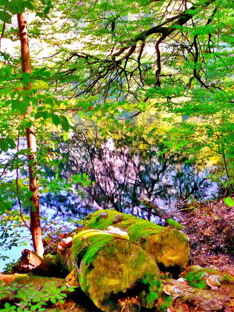 Herbstliches am See.
