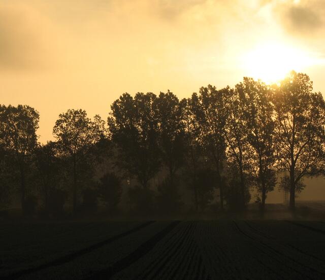 Korbach in herbstlicher Morgenstimmung