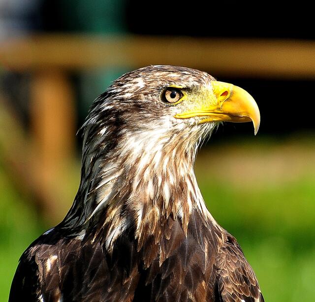 Hier mal von der anderen Seite