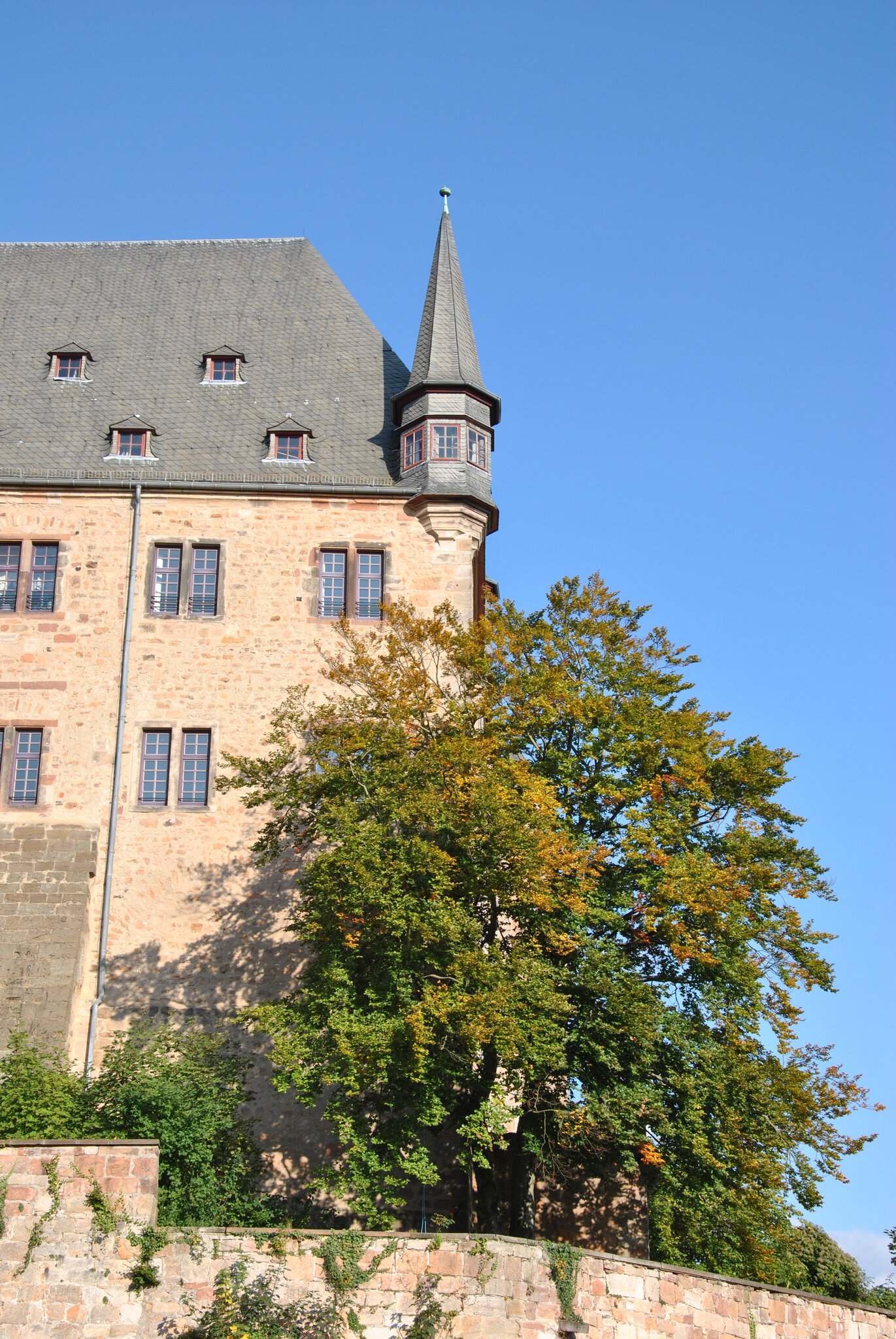 Marburger Schloss Marburg