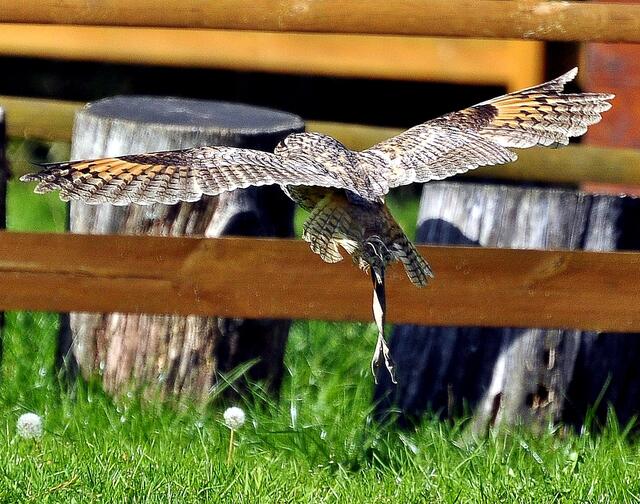 Der Landeplatz ist in Sicht