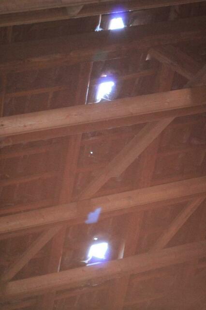 Licht