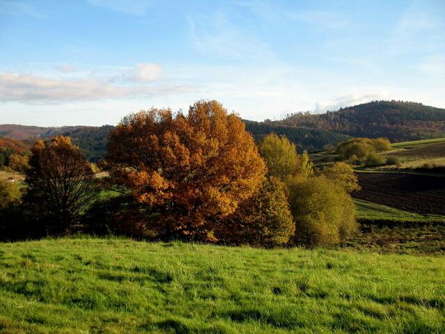Herbstbeginn