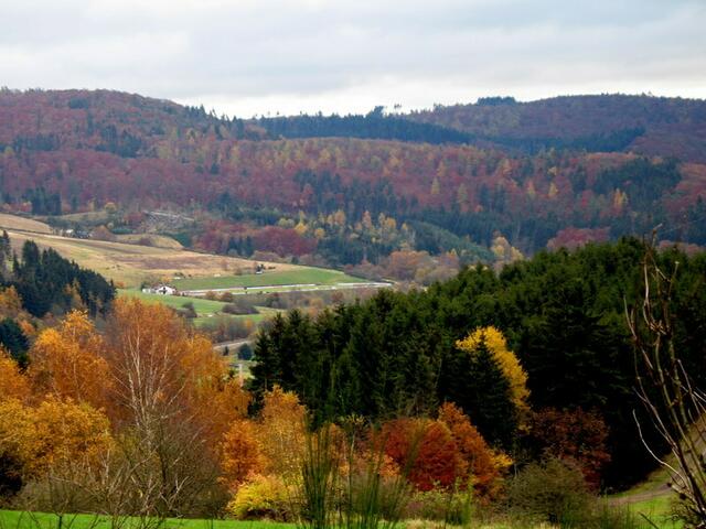 Herbstpanorama
