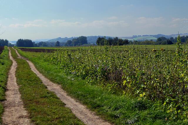 Zahlreiche Wanderwege durchziehen den "Gottesgarten" im Maintal.