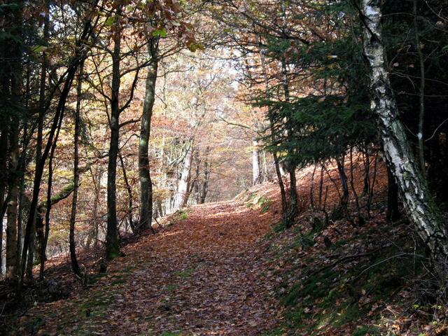 Ein ruhiger Weg