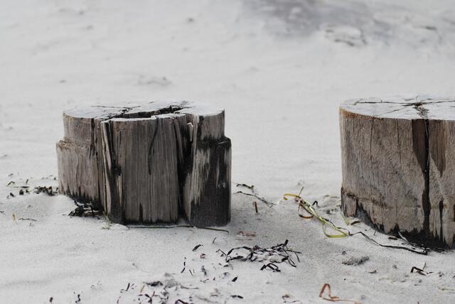 Insel Poel