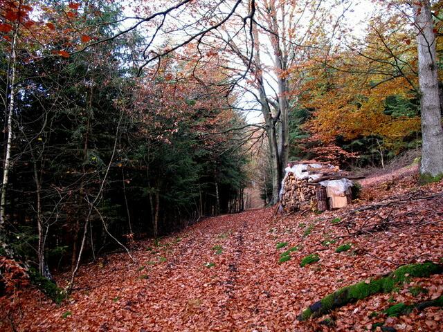 . . . am Holzstapel vorbei