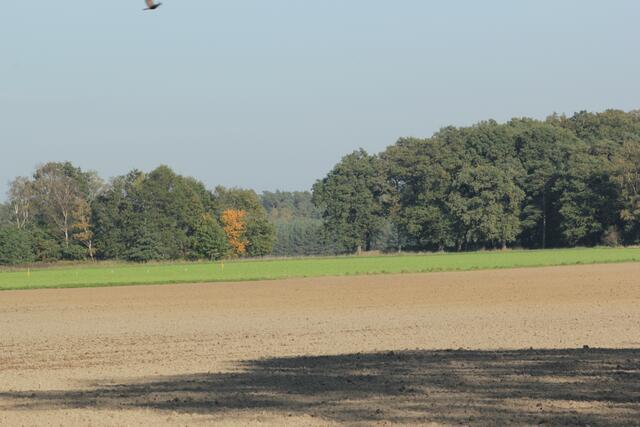 Herbst im Flachland.