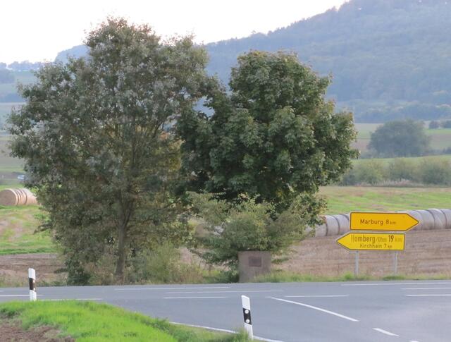 Der Gedenkstein steht gut sichtbar an der L 3088.