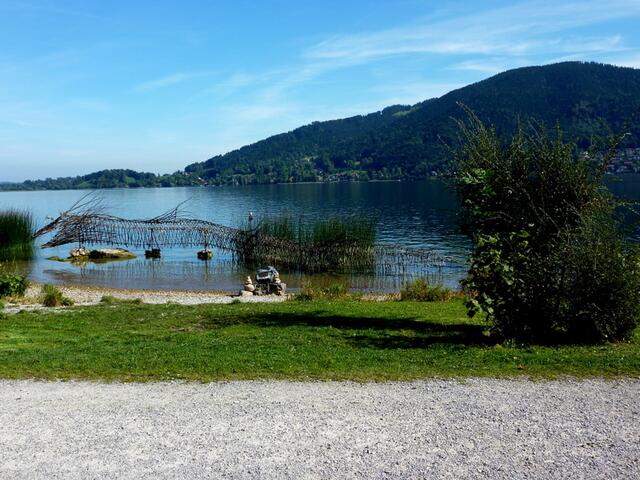 Fischskelett am Tegernsee