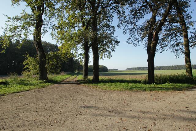Herbst am großen Stern.