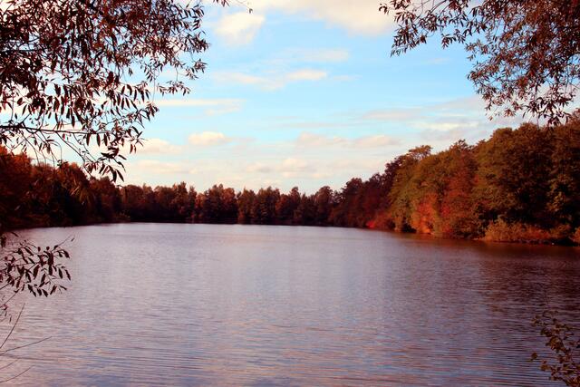 Der Erlensee bei Niederwald