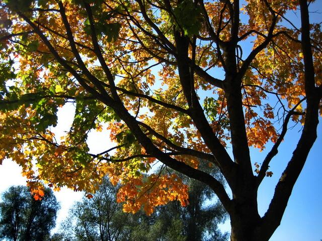 Härtsfeld Radwanderweg