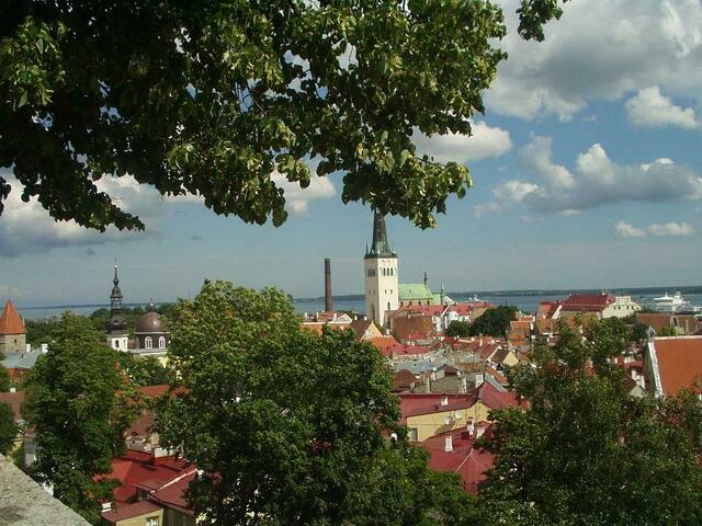 Blick von der Oberstadt über die Dächer von Tallinn