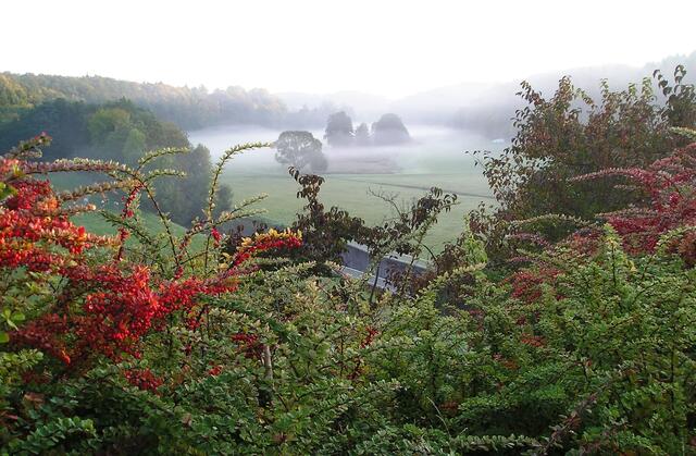 Hebstnebel