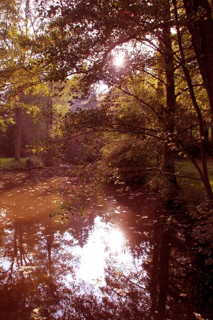 Abendsonne in Rauischholzhausen