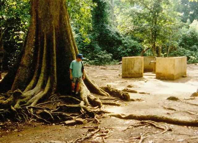 Zwischen den Wurzeln des großen Baobab-baumes nur mehr wenig Wasser, in dem sich wenige kleine Welse verstecken