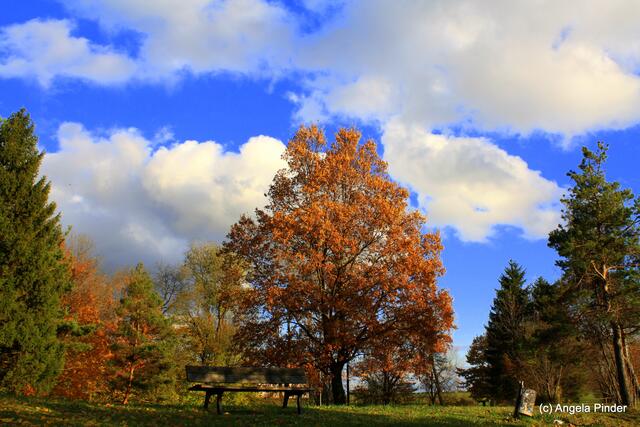 Blauer Himmel im Herbst