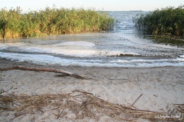 Herbstzeit am Achterwasser
