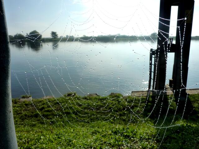 Diese Künstlerin spinnt doch! Kunstwerk an der Elbe in Tangermünde zu besichtigen.