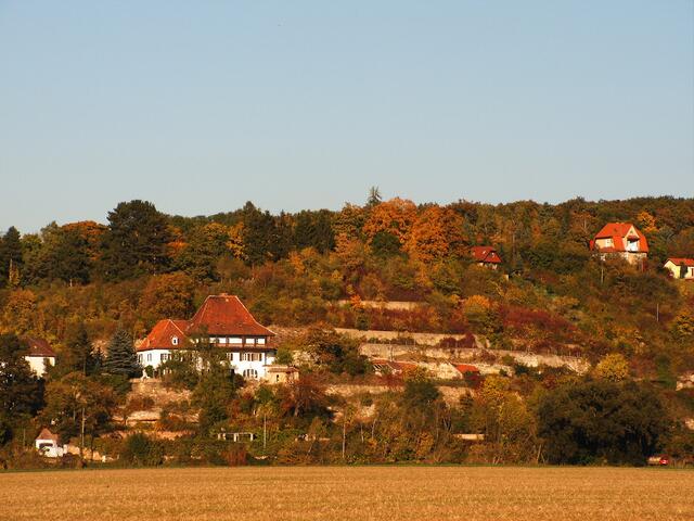 Herbstfarben in Naumburg