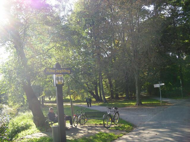 herbstliche Stimmung,an der Aue . . .